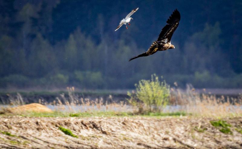 Погода в Беларуси 28 апреля: кратковременные осадки и от -3 °С до +11 °С