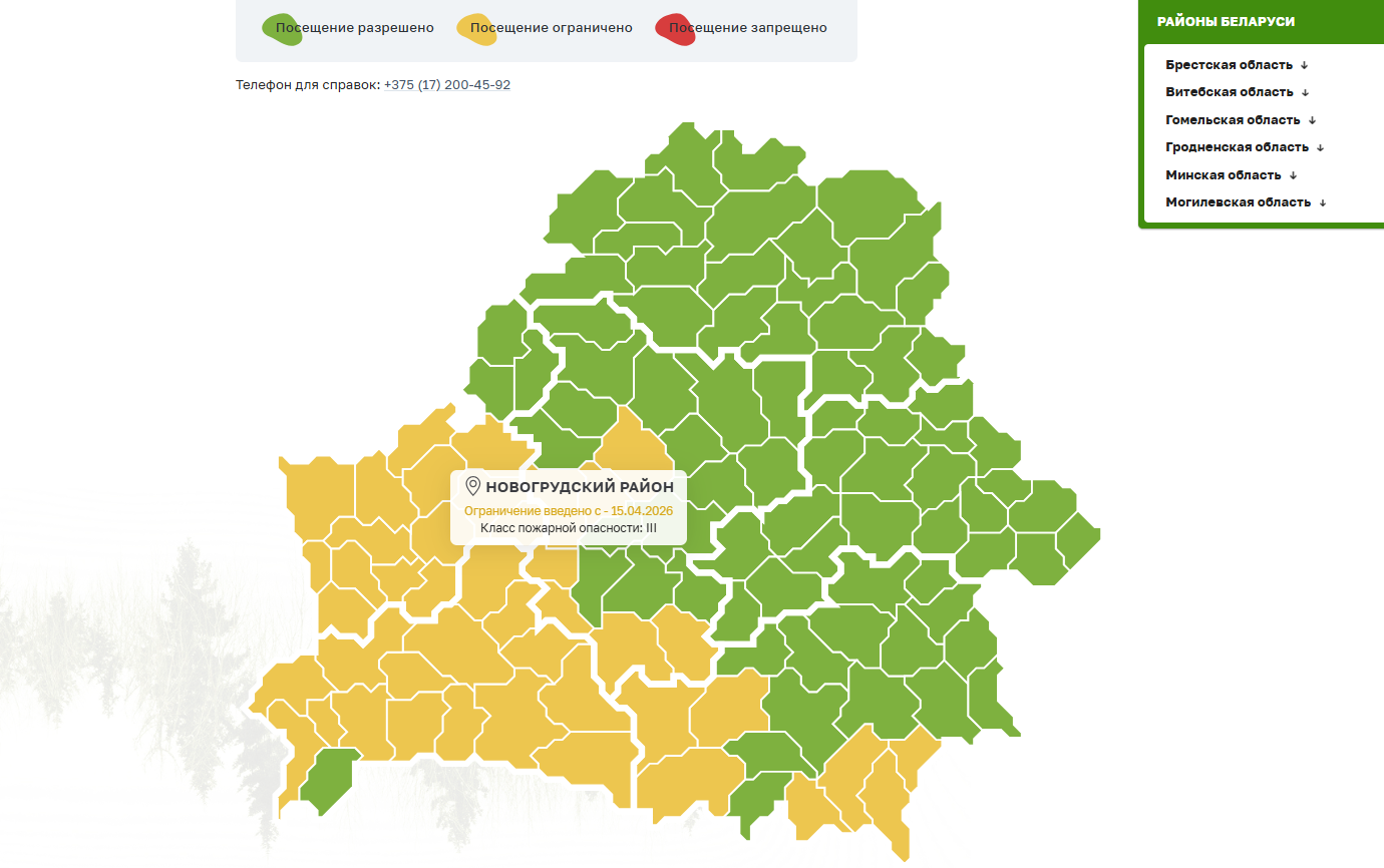 В Новогрудском районе введено ограничение на посещение лесов 