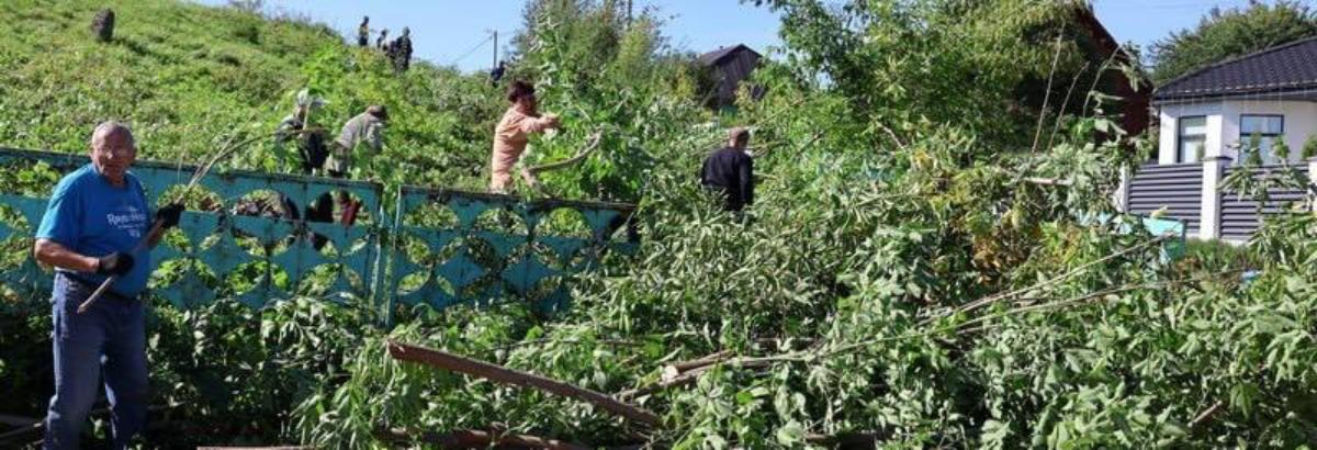 «Живые – ради ушедших»: новогрудчане поддержали новую трудовую инициативу