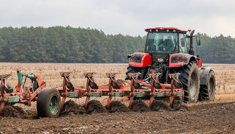 В Беларуси ранние яровые зерновые и зернобобовые посеяны на 54,1 тыс. га