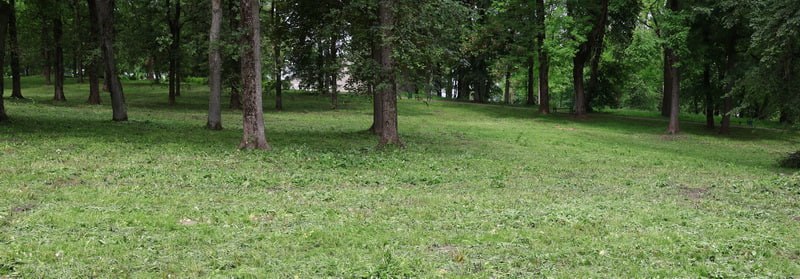 В городском парке Новогрудка травы становится меньше