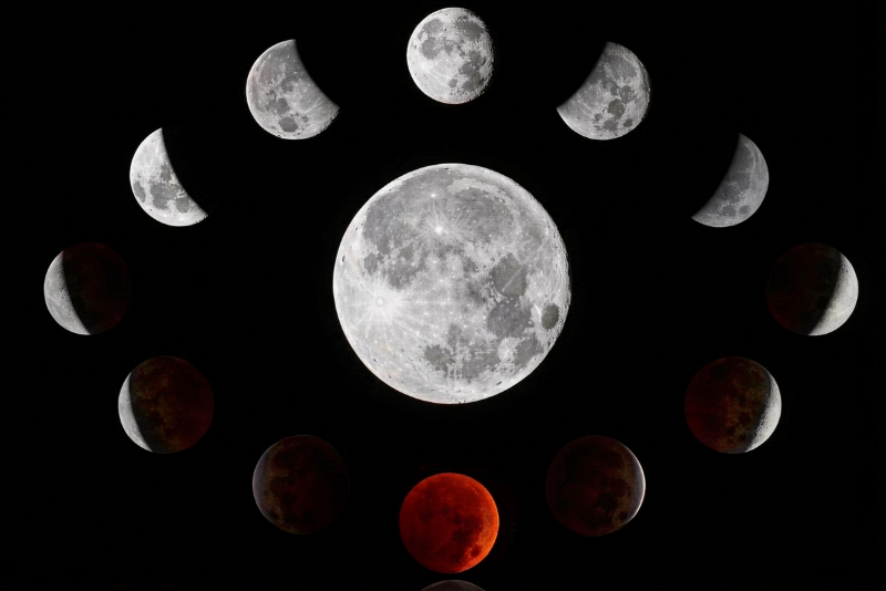 Лунный календарь для садоводов и огородников с 30 апреля по 3 мая 2026 года