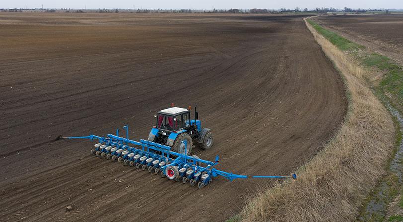 В Беларуси сахарная свекла посеяна на 46% площадей