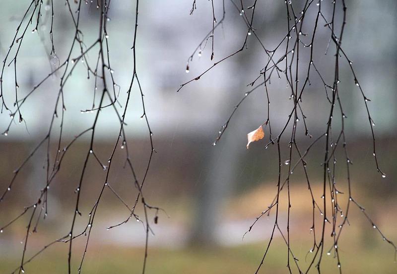 В ближайшие дни в Новогрудке ожидается до -2°, сильный ветер