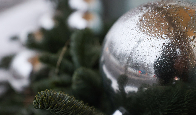 Оранжевый уровень опасности из-за сильного ветра объявлен в Беларуси на 22 декабря