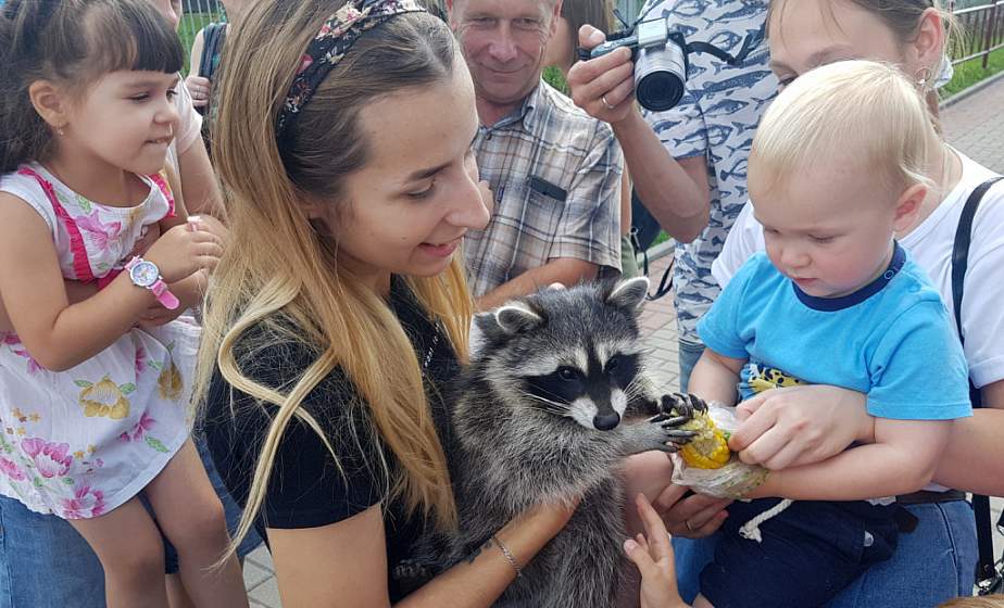 Гадание от попугая Кати, сэлфи с королевским питоном и экзотические животные. Гродненский зоопарк приглашает на праздник