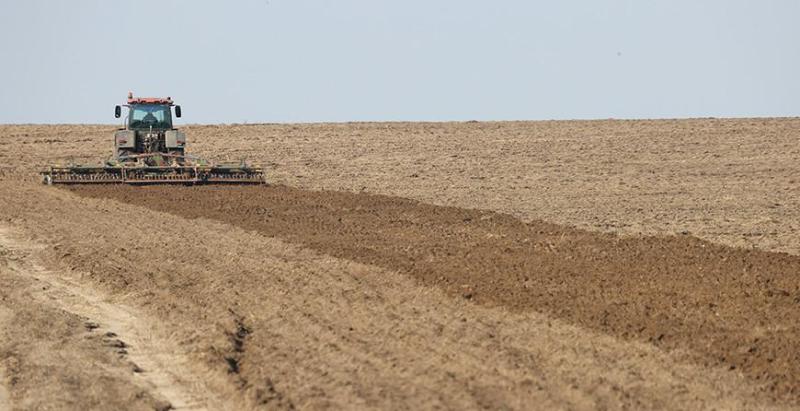 В Беларуси завершился сев яровых культур