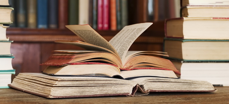 Школьный библиотекарь – призвание Елены Абрамчик