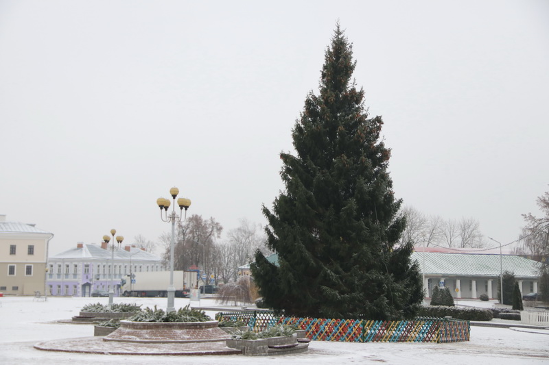 На площади в Новогрудке установили новогоднюю елку