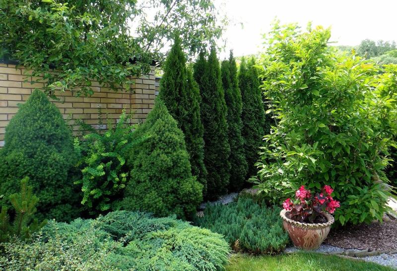 Полезные советы от редакции: как придать участку нужный облик