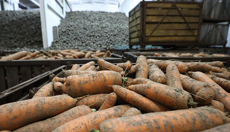 Уровень самообеспечения по основным видам сельхозпродукции в Беларуси ежегодно превышает 100%