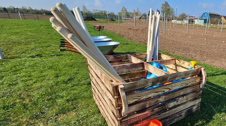 "Белорусское сладкое" и "Сябрына". Александр Лукашенко проводит субботник на своей малой родине