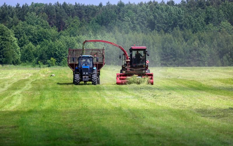 В Беларуси первый укос трав провели почти на 80 % площадей — заготовлено более 5,5 млн тонн сенажа