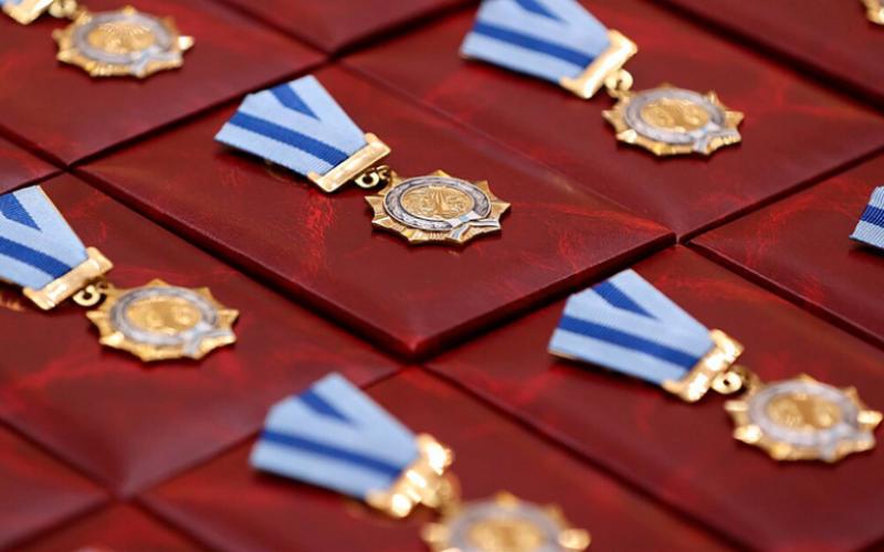 Новая госнаграда для многодетных семей появится в Беларуси