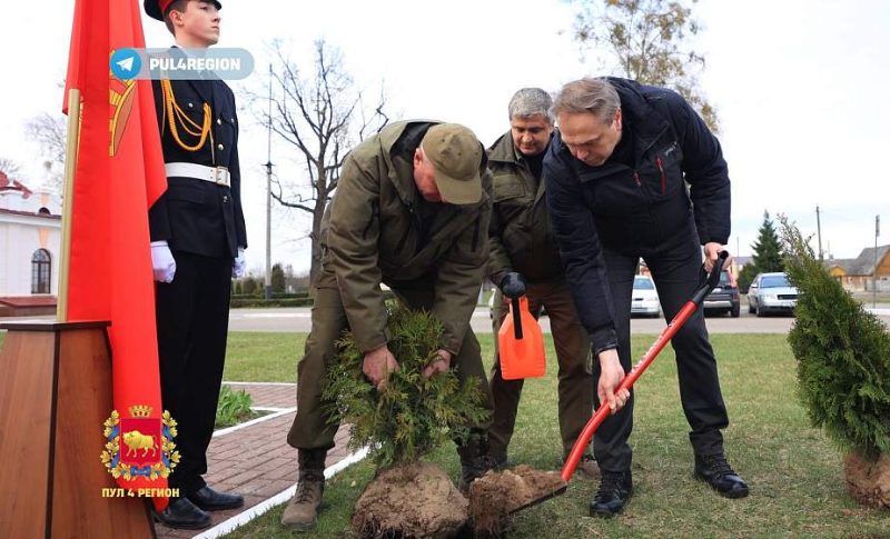 Новая Аллея Памяти появилась у памятника и братской могилы в Поречье