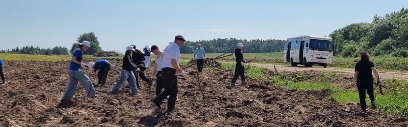 Трудовой десант в деле: ОАО «НЗГА» помогает аграриям!