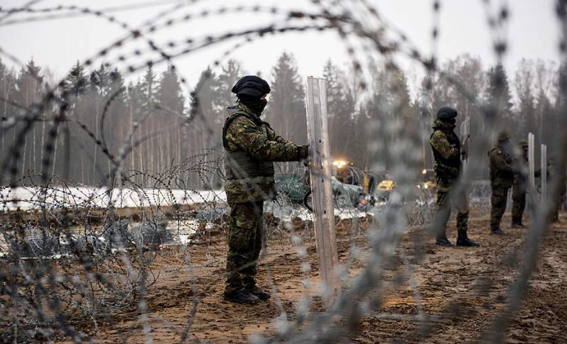 Минприроды обратилось в Совет Европы из-за ситуации со строительством забора в Беловежской пуще