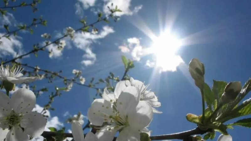 Небо прояснится, но куртки не прячем: какой будет погода на Гродненщине 21 апреля