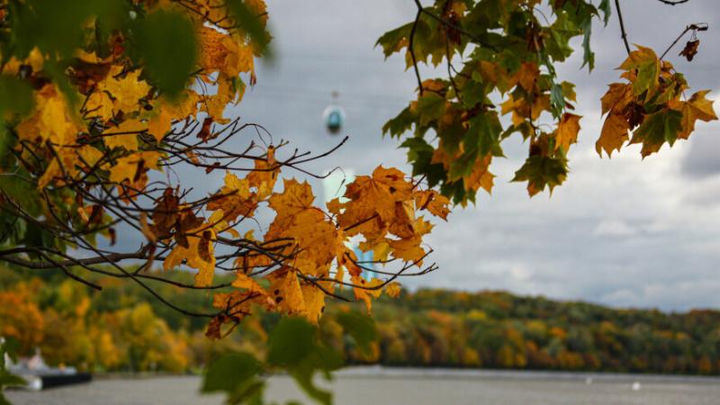 Приметы и поверья на 23 октября: чего нельзя делать в день Евлампия Зимоуказателя