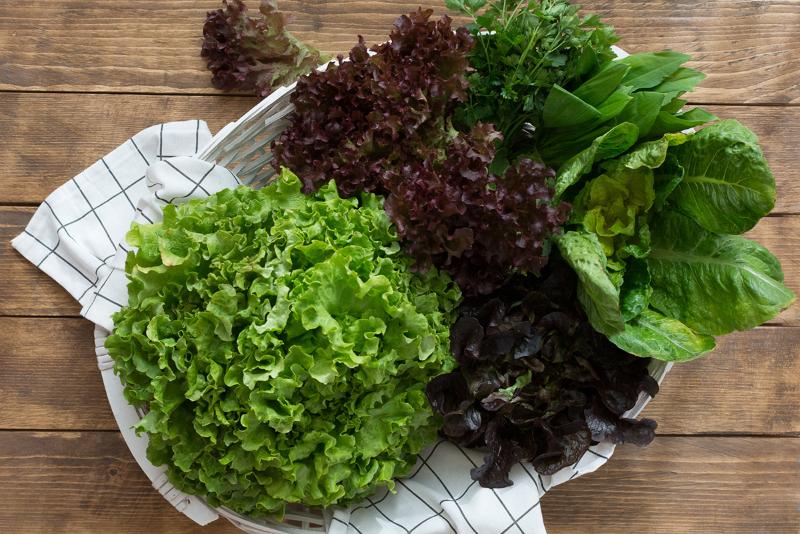 Полезные советы от редакции:  витаминные листочки салата и его сорта