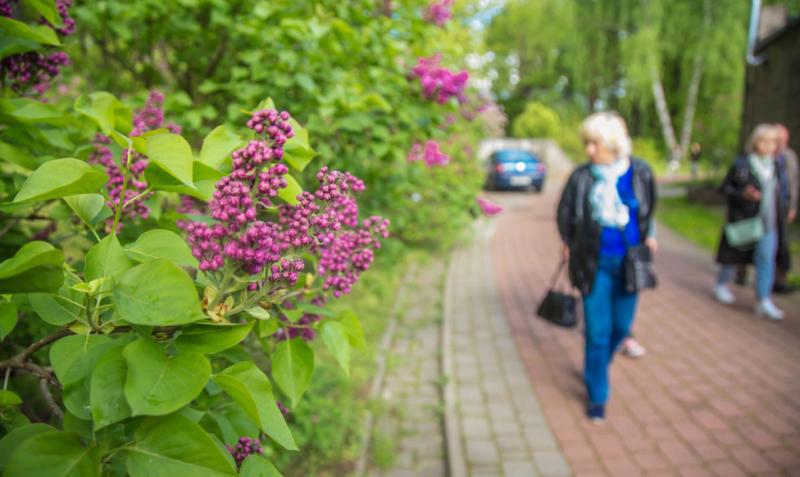  Рост БПМ, детских пособий, зарплат бюджетников: чего еще ждать в мае?
