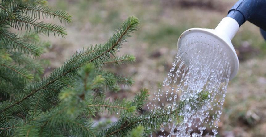 Республиканский субботник проходит сегодня в Беларуси