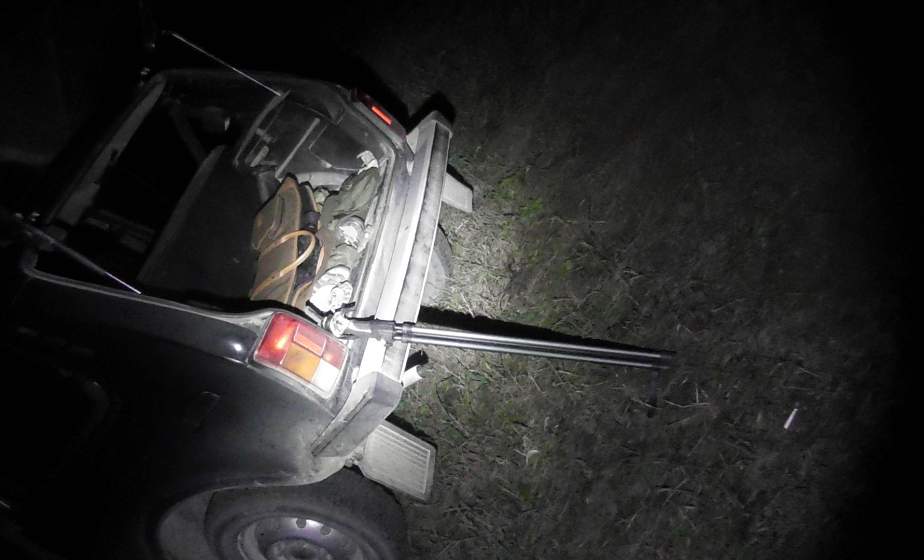 Охотник в Островецком районе незаконно добыл оленя: мужчине может грозить 6 лет тюрьмы