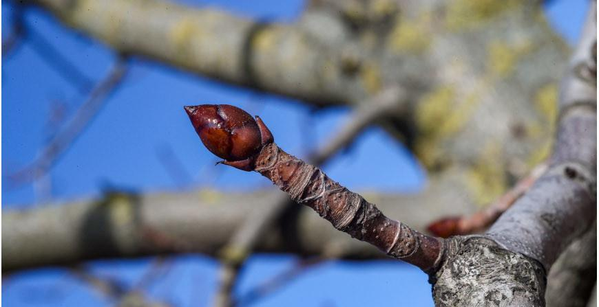 Ограничения на посещение лесов введены в 14 районах Беларуси