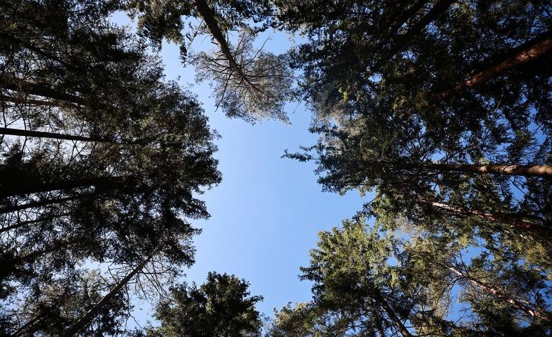 Прогноз погоды на 14 апреля: преимущественно без осадков, слабый туман и до +18 °С