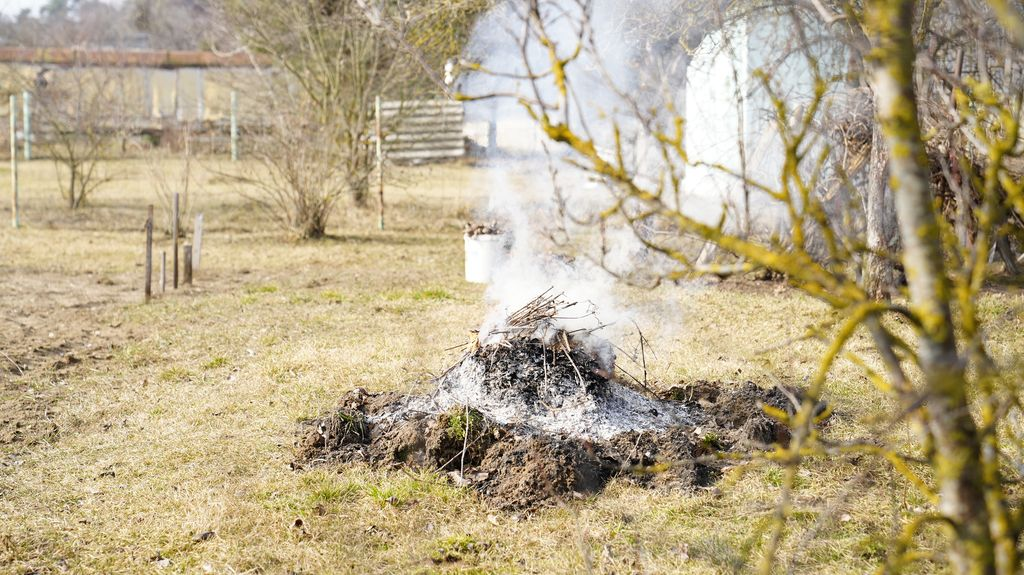 В МЧС рассказали, как навести порядок на участке без происшествий
