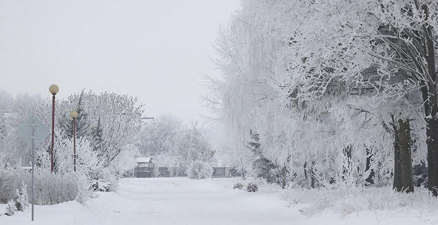 Снег и до -15°С. Какая погода будет сегодня в Беларуси 