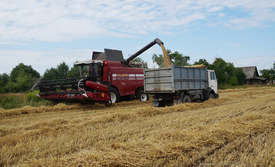 Жатва на Гродненщине идет высокими темпами – на утро 1 августа убрано 60% площадей, или 199 576 гектаров (+Инфографика)
