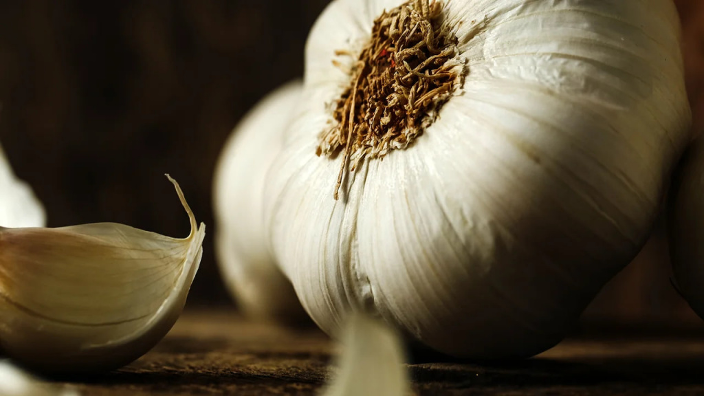 photo_2026-03-03_10-04-21 (5).jpg