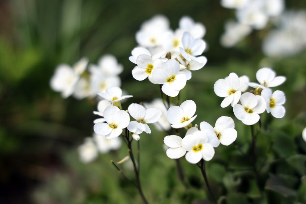 photo_2026-04-23_15-53-18 (2).jpg