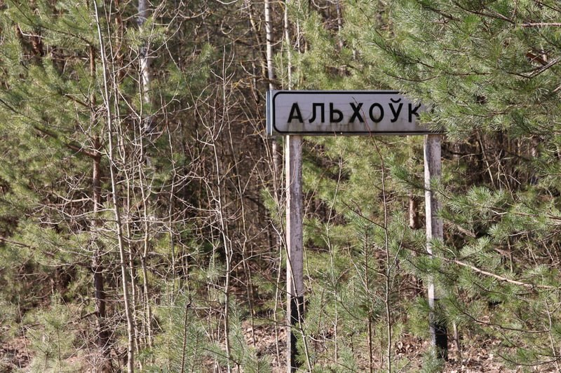изображение_2026-03-21_202854660.png