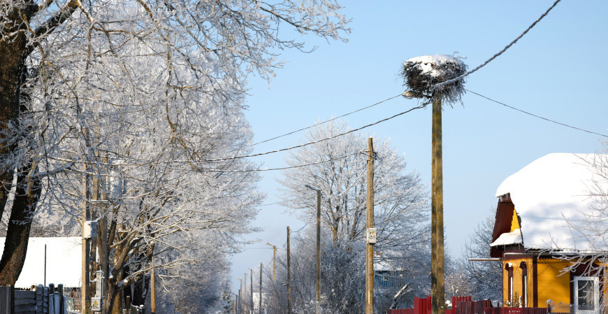 загружено (1).png