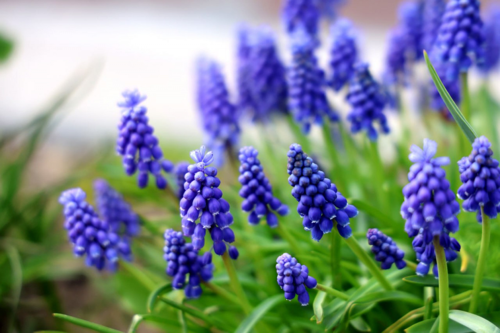 photo_2026-04-23_15-53-16 (2).jpg