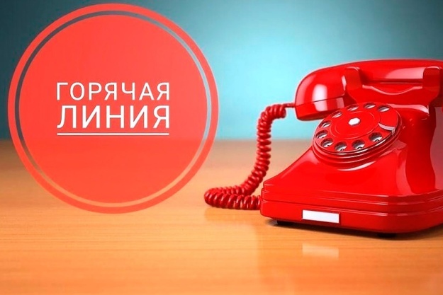 tqcgu0sfhko211ho5p3tzpiala9xdfb2.jpg