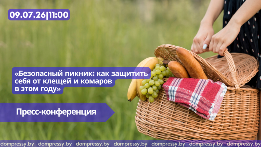КАРТИНКИ-САЙТ-И-ЮТЬЮБ-2026-59-1024x576.png