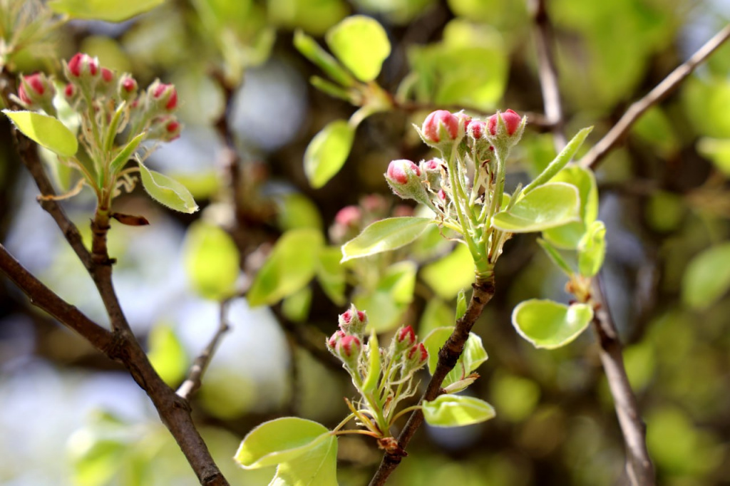 photo_2026-04-23_15-53-15 (2).jpg