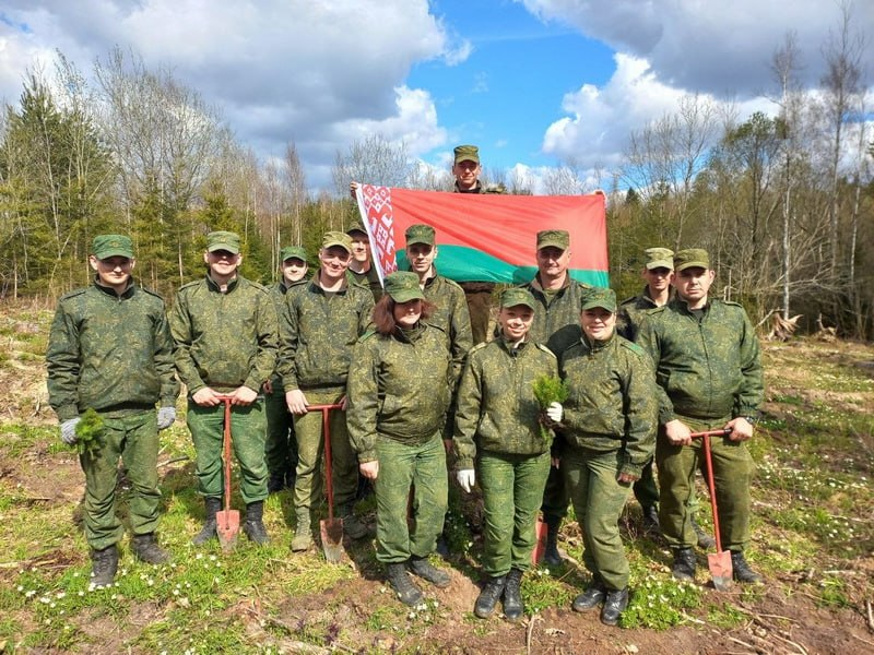 изображение_2026-04-18_122106579.png