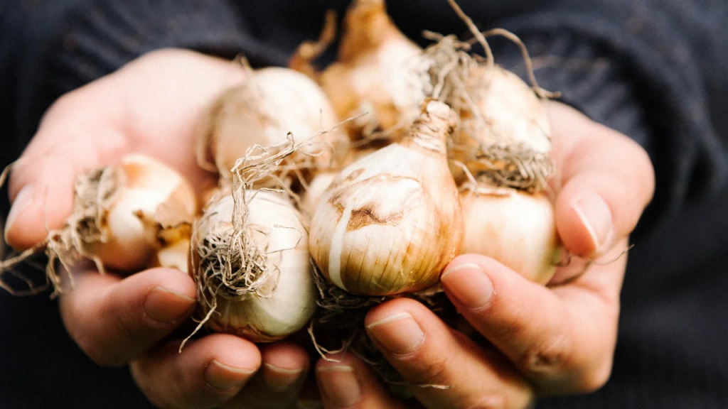 photo_2026-03-03_10-04-21 (4).jpg