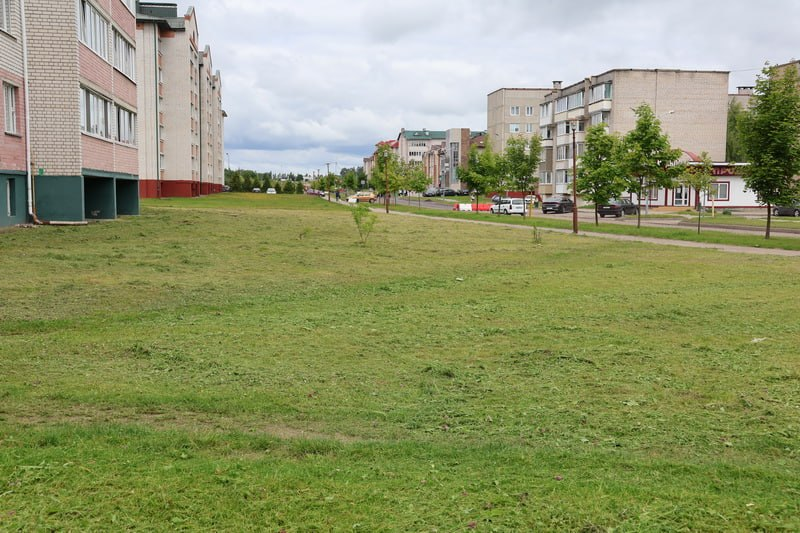 изображение_2026-06-19_230052763.png
