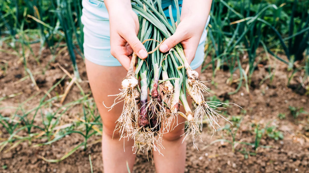 photo_2026-03-03_10-04-21 (3).jpg