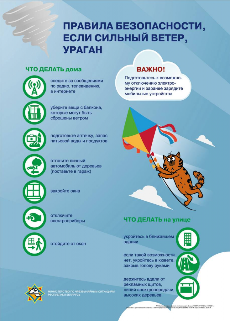 изображение_2026-06-13_133201514.png