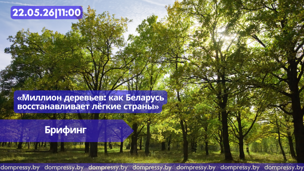 КАРТИНКИ-САЙТ-И-ЮТЬЮБ-2026-10-1024x576.png