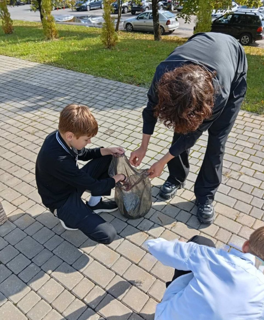 загружено (4).png