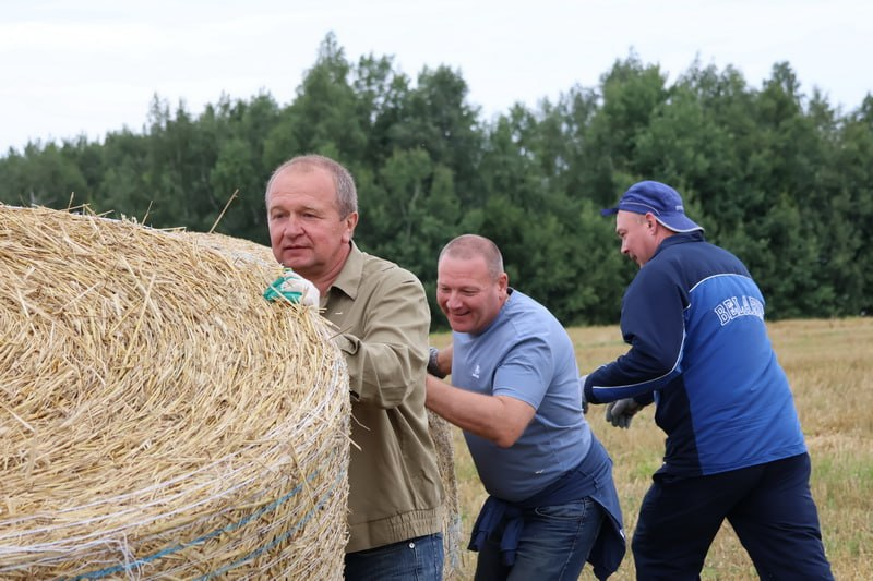 изображение_2026-08-07_150127087.png