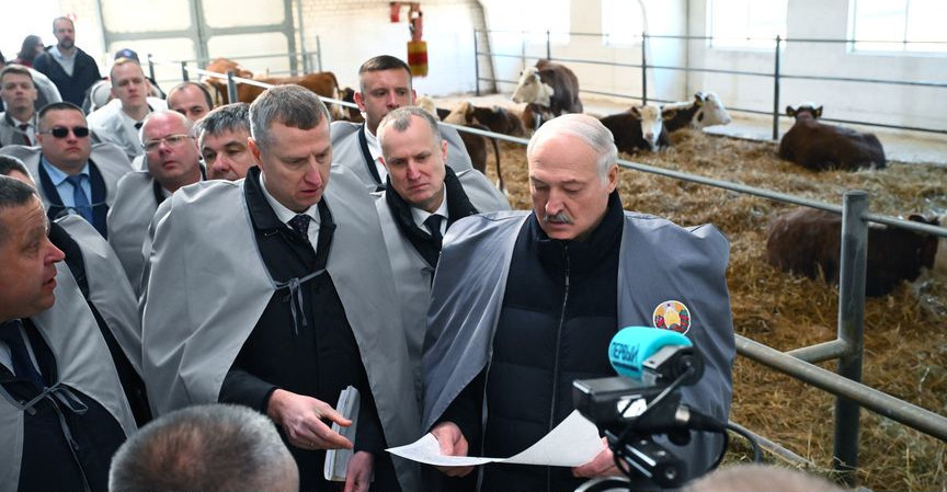 загружено (2).png