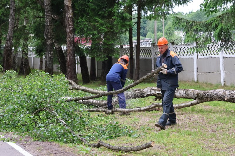 изображение_2026-06-19_225814569.png